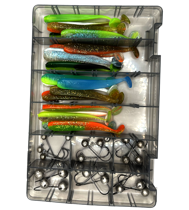 Longshad 2.0 Pike Perch Box 48 pieces