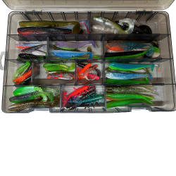 Allround Gummifischbox – Süßwasser Edition