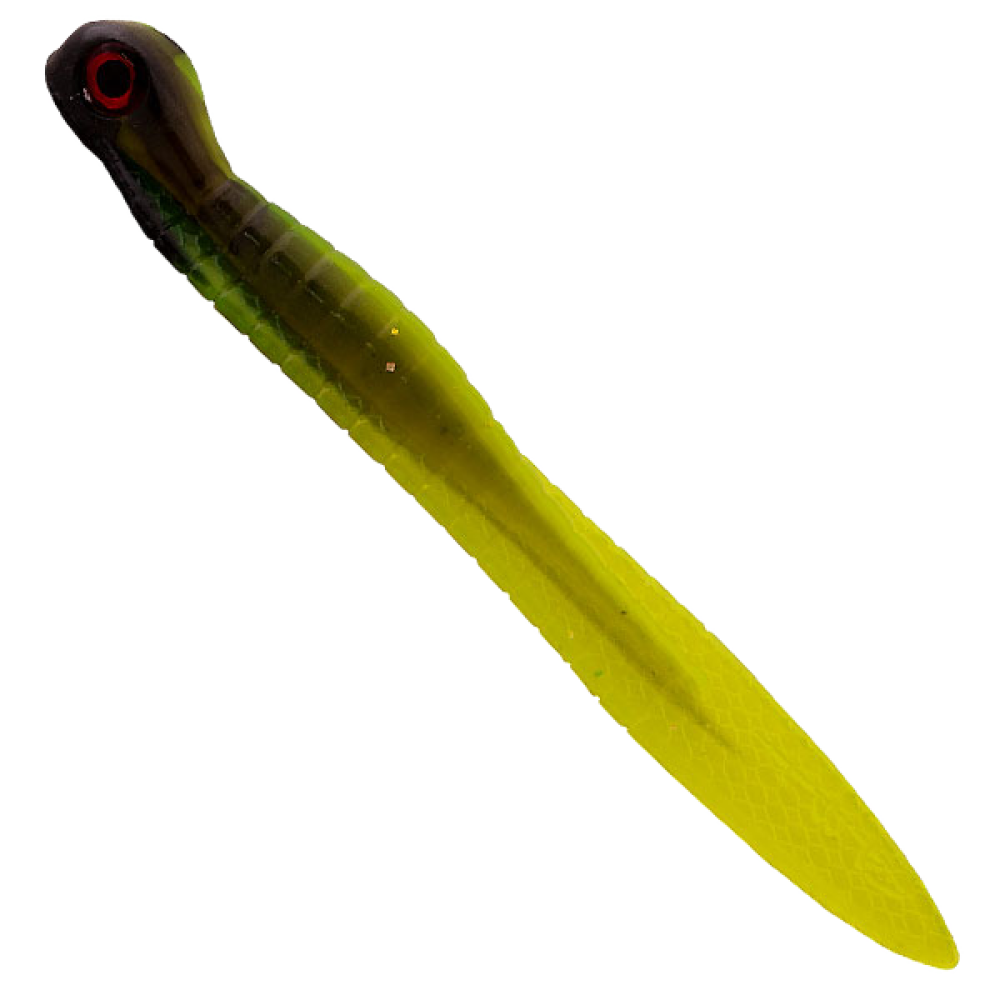 Mr. Leech - Honey Bee