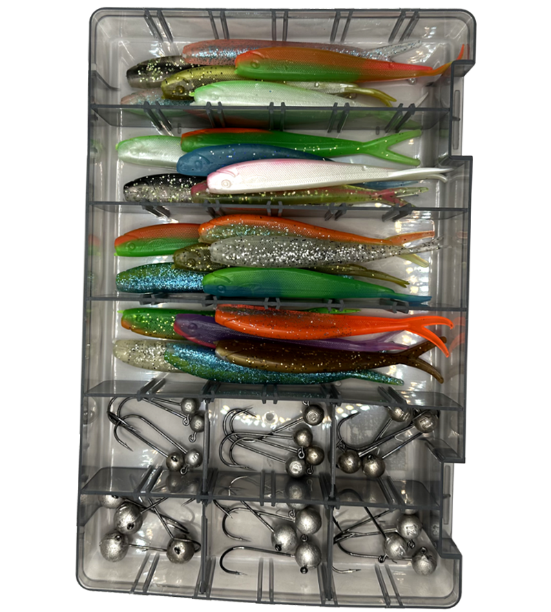 V-Tail Pikeperch Box 48 Pieces